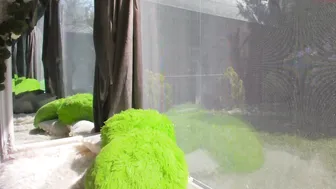 sassyt33n 3.04.2020 020_female chaturbate