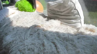 sassyt33n 2.04.2020 035_female chaturbate