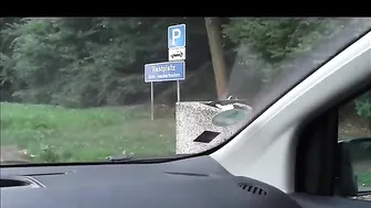 SkyBitMegMDH_Spermaschlampe_auf_Autobahnrastplatz
