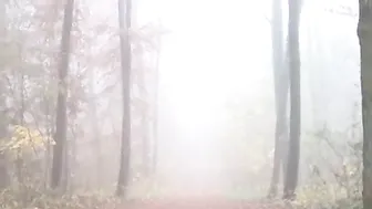 Sharon-Privat Auf dem Burgturm gefickt