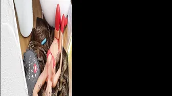 mydirtyhobby LilliVanilli 3. Advent Klingeling