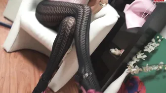 Valerie4you Spritzgeil! Tu es auf meine geile Strumpfhose!