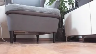 lola roses Beauty with