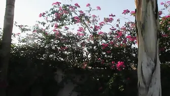 lil olivia super baby