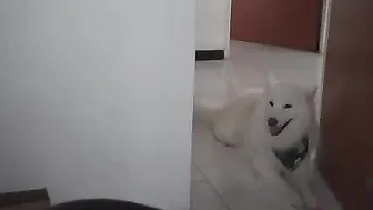 laura cornett webcam vids January 2020