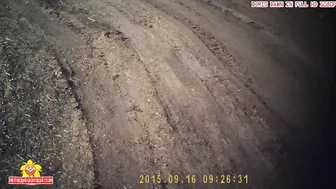 dorisdawn Delicious slut