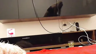 jessica Luxurious lady