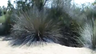 blondehexe and her soft pussy