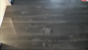 Merry4Fun 5 January 2020