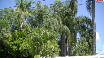 Popp-Sylvie charming cutie