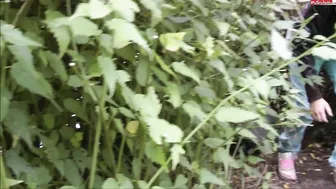 Merry4Fun beast exposed in  private e