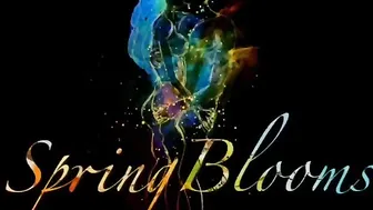 springblooms webcam vids January 2020
