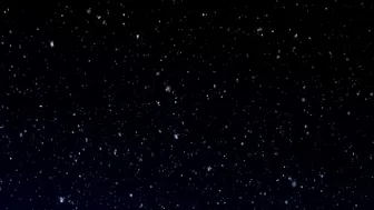 popeex sponge courtesan in the office spoils himself with pleasures