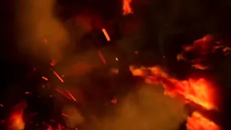 rebel rhyder chic striptease