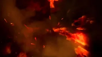 rebel rhyder Luxury mare