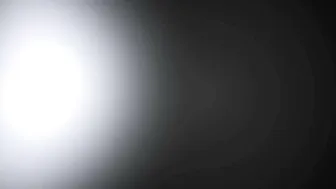 robomeats shows itself perfect