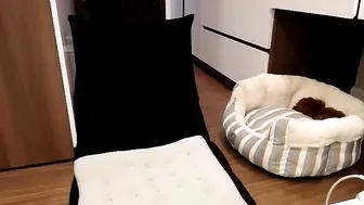 yeu_asian young slut fucking pussy phallus