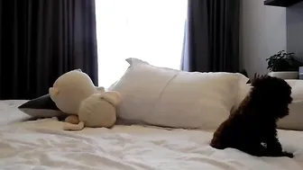 yeu_asian luxurious passion relish shaved shaved holes