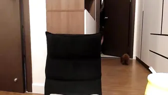 yeu_asian dark haired passion shows underwear