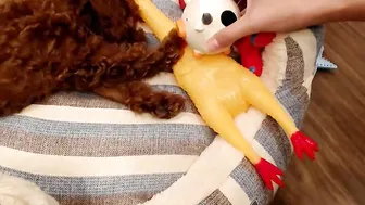 yeu_asian Negro blonde