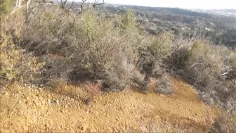 veronica weston onlyfans  Piquant skin