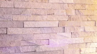 foxy_chloe_  sexy lady fucks both holes