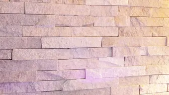 foxy_chloe_  sexy lady fucks both holes