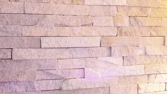 foxy_chloe_  sexy lady fucks both holes