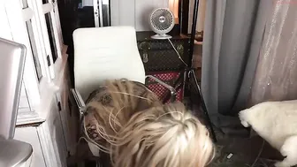 goddessjennafoxx  perfect swell caresses sex lips