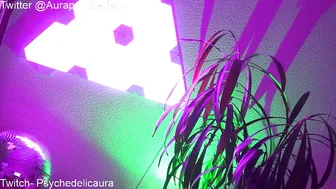 psychedelicariaa  Lush shmara