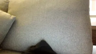piggytits  webcam vids January 2020
