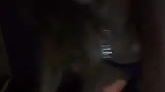 reddreadkitten  24 April 2020