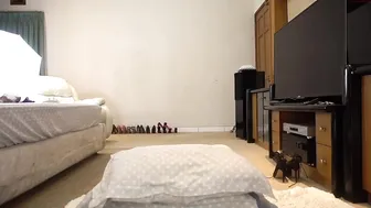 mandy138  myfreecams January 2020