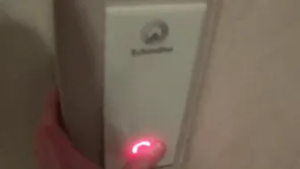 dollscult Chic Asian