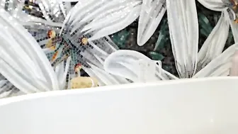 linda mature slut jerking juicy pussy