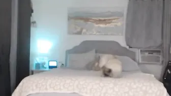 queen_bambi chaturbate January 2020