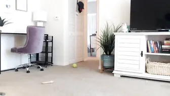 hallieharper passionate chick shines pussy