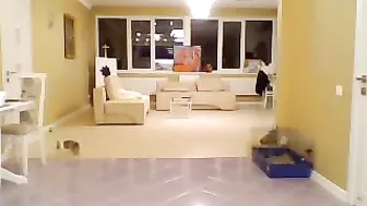 milla_jo Cute lady caresses shaved vagina