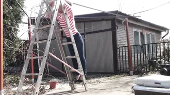 Doris Dawn 20 February 2020