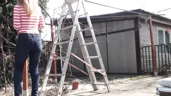 Doris Dawn 20 February 2020