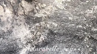 clarabelle woods Vulgar female