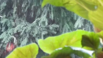 Doris Dawn crazy chick demonstrates sexy body