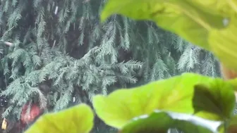 Doris Dawn crazy chick demonstrates sexy body