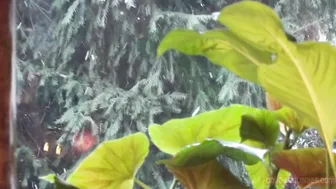 Doris Dawn crazy chick demonstrates sexy body