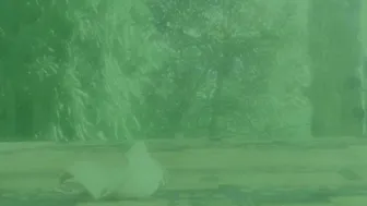 Doris Dawn slut fucking pussy