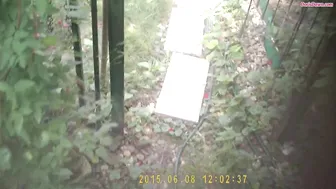 Doris Dawn skillful slut jerks off