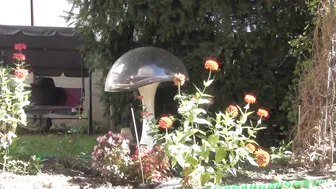 Doris Dawn Lustful blonde