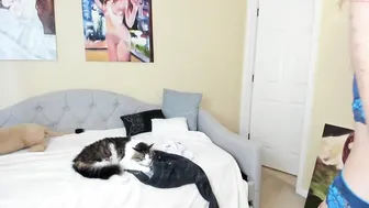 cutiepainter in all the cracks before losing pulse