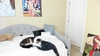 cutiepainter in all the cracks before losing pulse