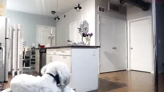 wynterheat classed passion caresses shaved cunt